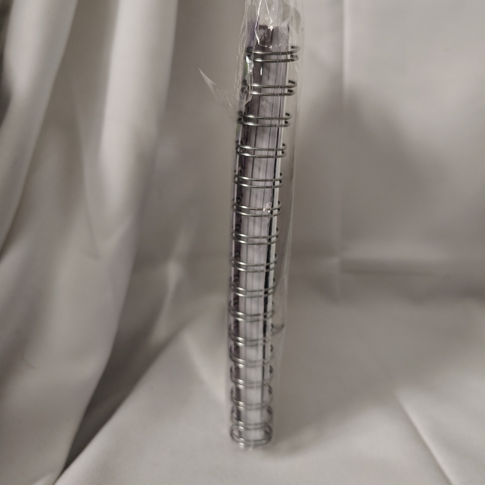 🪲NWT Beetlejuice Vinyl Covered Spiral Journal w/ Vinyl Separators - Picture 9 of 16